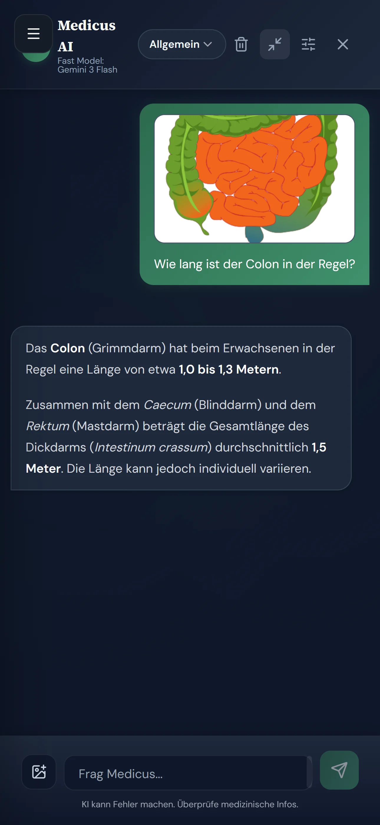 Medicus KI-Assistent